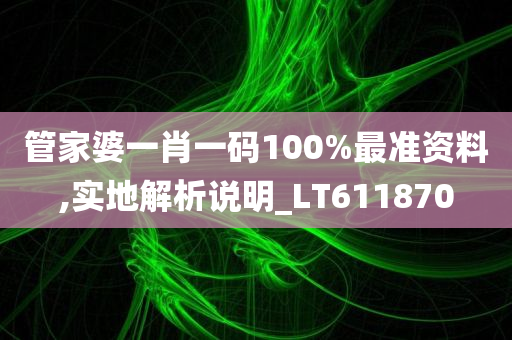 管家婆一肖一码100%最准资料,实地解析说明_LT611870