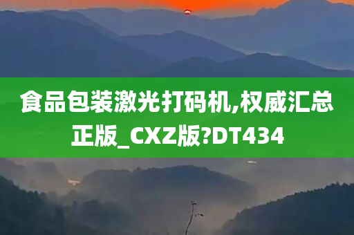 食品包装激光打码机,权威汇总正版_CXZ版?DT434