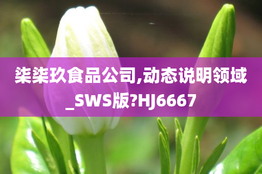 柒柒玖食品公司,动态说明领域_SWS版?HJ6667