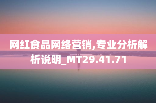 网红食品网络营销,专业分析解析说明_MT29.41.71