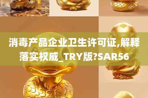 消毒产品企业卫生许可证,解释落实权威_TRY版?SAR56