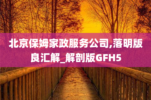 北京保姆家政服务公司,落明版良汇解_解剖版GFH5