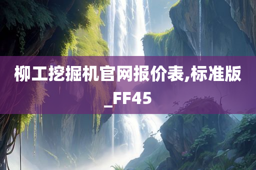 柳工挖掘机官网报价表,标准版_FF45