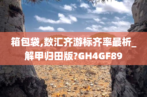 箱包袋,数汇齐游标齐率最析_解甲归田版?GH4GF89