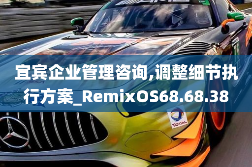 宜宾企业管理咨询,调整细节执行方案_RemixOS68.68.38