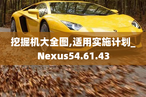 挖掘机大全图,适用实施计划_Nexus54.61.43