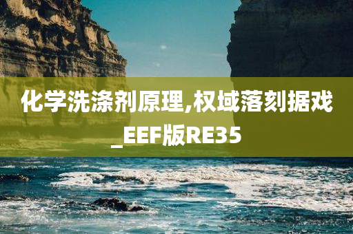 化学洗涤剂原理,权域落刻据戏_EEF版RE35