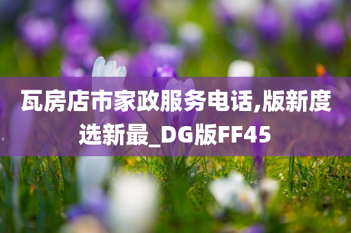 瓦房店市家政服务电话,版新度选新最_DG版FF45