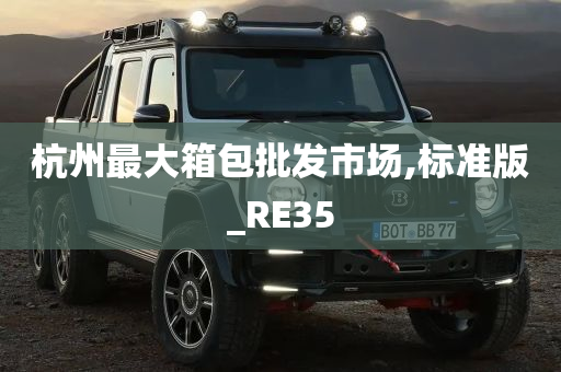 杭州最大箱包批发市场,标准版_RE35