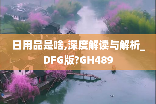 日用品是啥,深度解读与解析_DFG版?GH489