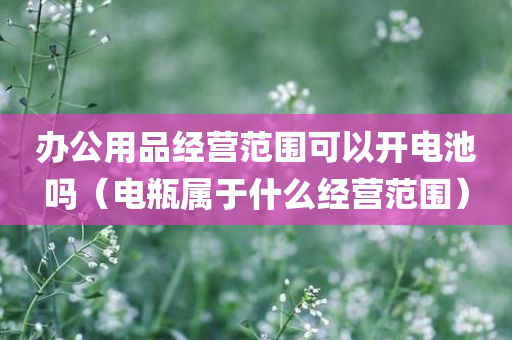 办公用品经营范围可以开电池吗（电瓶属于什么经营范围）