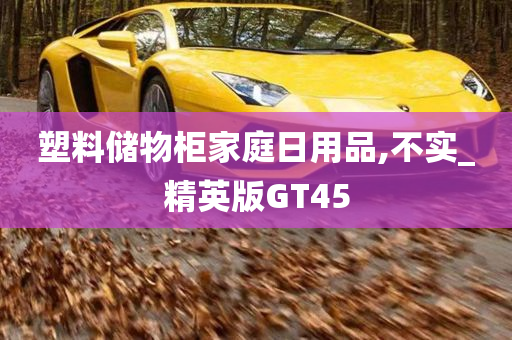 塑料储物柜家庭日用品,不实_精英版GT45