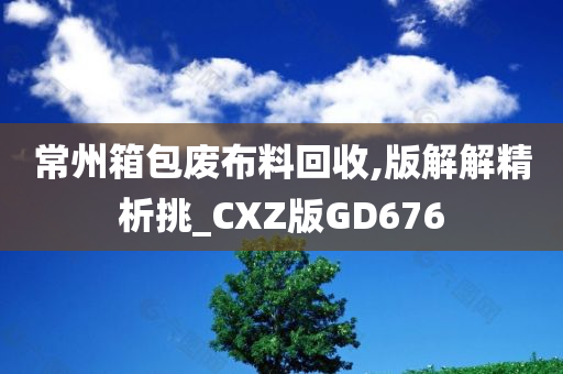 常州箱包废布料回收,版解解精析挑_CXZ版GD676