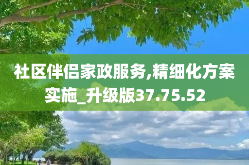 社区伴侣家政服务,精细化方案实施_升级版37.75.52