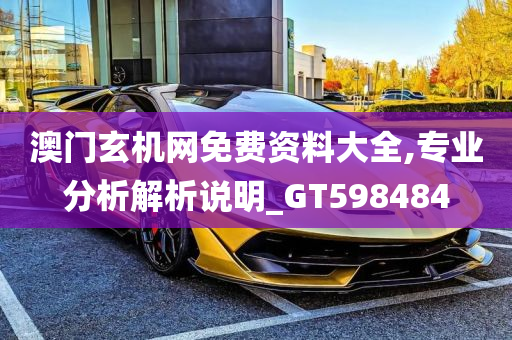 澳门玄机网免费资料大全,专业分析解析说明_GT598484