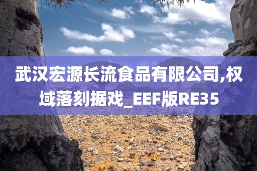 武汉宏源长流食品有限公司,权域落刻据戏_EEF版RE35