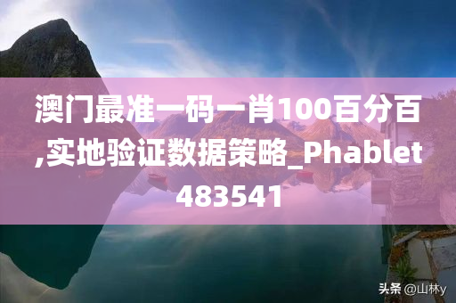 澳门最准一码一肖100百分百,实地验证数据策略_Phablet483541