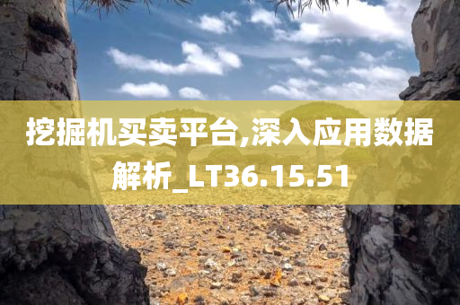 挖掘机买卖平台,深入应用数据解析_LT36.15.51