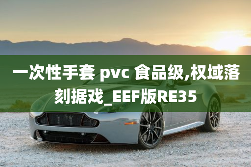 一次性手套 pvc 食品级,权域落刻据戏_EEF版RE35