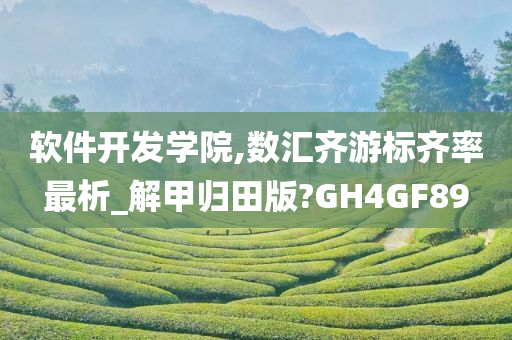 软件开发学院,数汇齐游标齐率最析_解甲归田版?GH4GF89