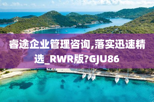 睿途企业管理咨询,落实迅速精选_RWR版?GJU86