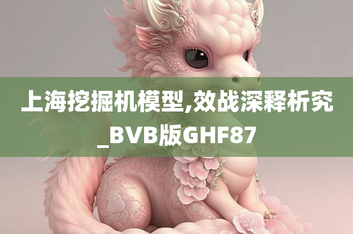 上海挖掘机模型,效战深释析究_BVB版GHF87