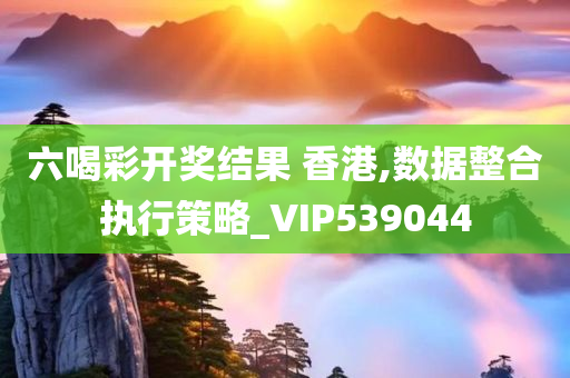 六喝彩开奖结果 香港,数据整合执行策略_VIP539044