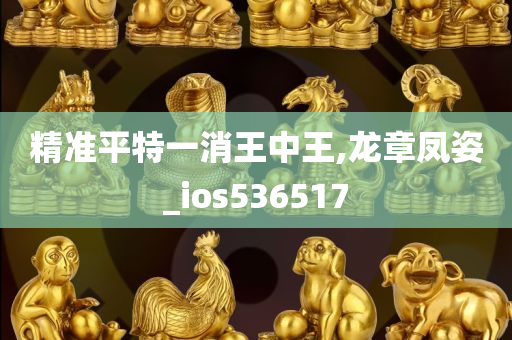 精准平特一消王中王,龙章凤姿_ios536517