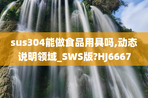 sus304能做食品用具吗,动态说明领域_SWS版?HJ6667