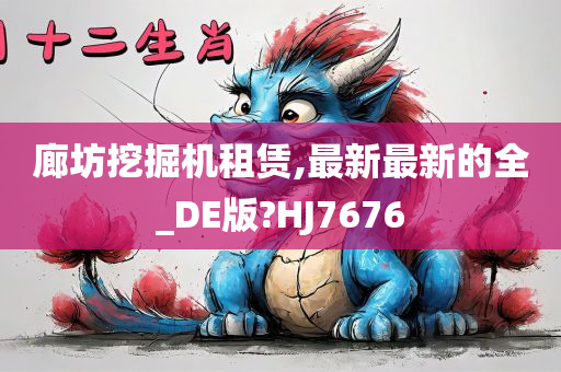 廊坊挖掘机租赁,最新最新的全_DE版?HJ7676