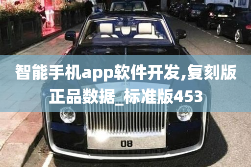 智能手机app软件开发,复刻版正品数据_标准版453