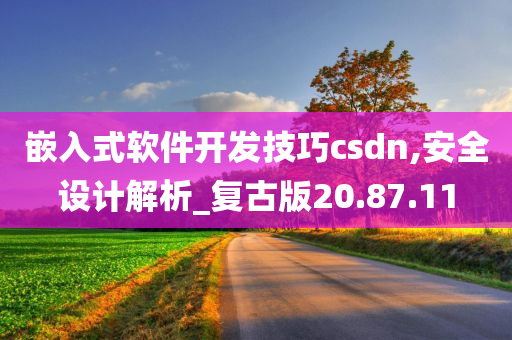 嵌入式软件开发技巧csdn,安全设计解析_复古版20.87.11