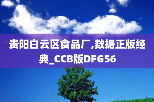 贵阳白云区食品厂,数据正版经典_CCB版DFG56