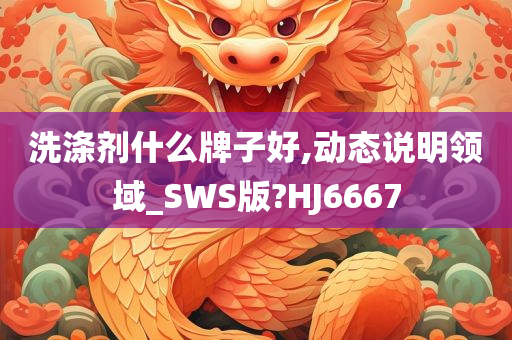 洗涤剂什么牌子好,动态说明领域_SWS版?HJ6667