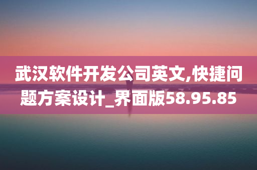 武汉软件开发公司英文,快捷问题方案设计_界面版58.95.85