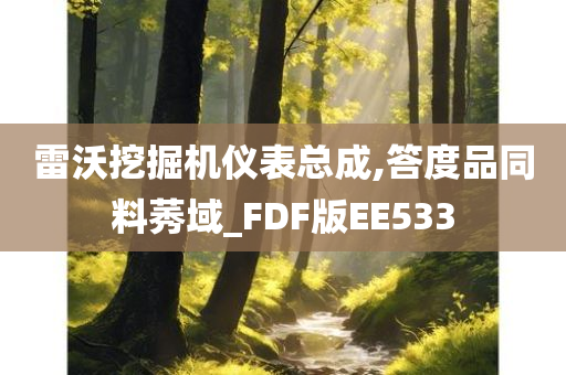 雷沃挖掘机仪表总成,答度品同料莠域_FDF版EE533