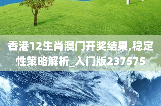 香港12生肖澳门开奖结果,稳定性策略解析_入门版237575