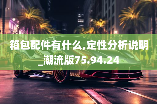 箱包配件有什么,定性分析说明_潮流版75.94.24