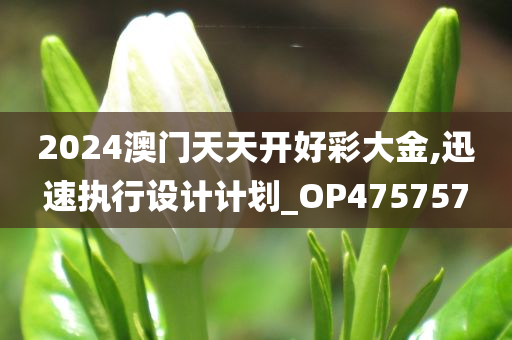 2024澳门天天开好彩大金,迅速执行设计计划_OP475757