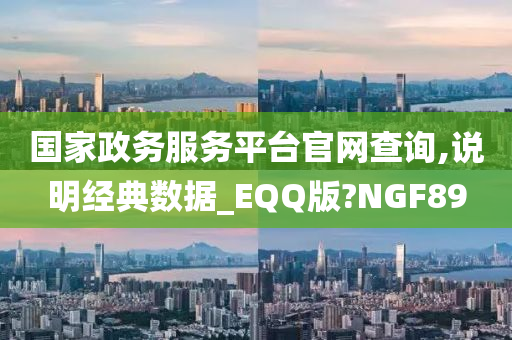 国家政务服务平台官网查询,说明经典数据_EQQ版?NGF89