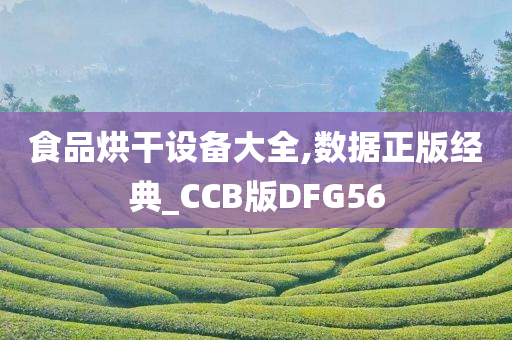 食品烘干设备大全,数据正版经典_CCB版DFG56