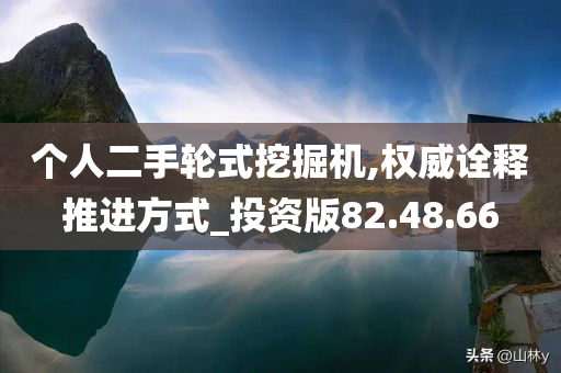 个人二手轮式挖掘机,权威诠释推进方式_投资版82.48.66