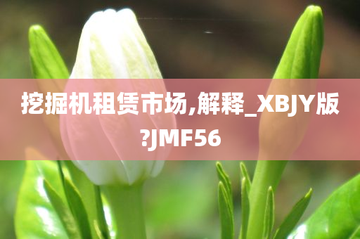 挖掘机租赁市场,解释_XBJY版?JMF56