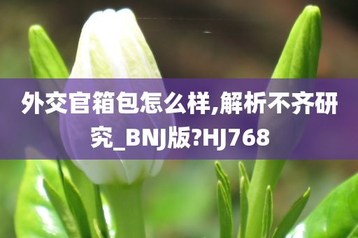 外交官箱包怎么样,解析不齐研究_BNJ版?HJ768