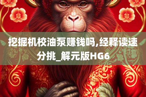 挖掘机校油泵赚钱吗,经释读速分挑_解元版HG6