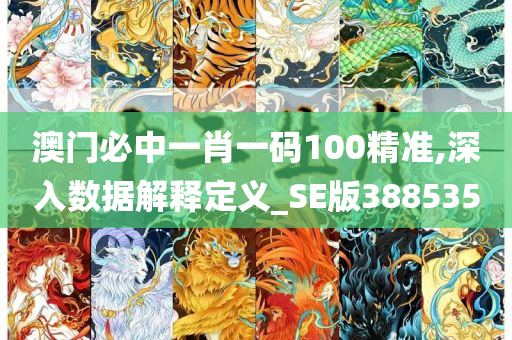 澳门必中一肖一码100精准,深入数据解释定义_SE版388535