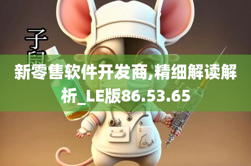 新零售软件开发商,精细解读解析_LE版86.53.65