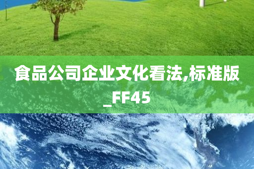 食品公司企业文化看法,标准版_FF45