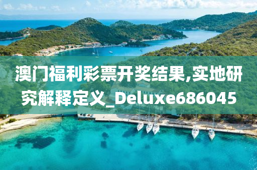 澳门福利彩票开奖结果,实地研究解释定义_Deluxe686045