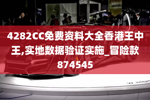 4282CC免费资料大全香港王中王,实地数据验证实施_冒险款874545